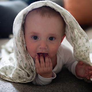 Submitted by SydAndTheKids