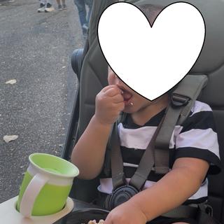 Submitted by Christa or Christabslg