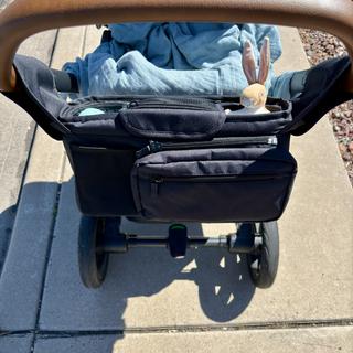 Submitted by Tania F.