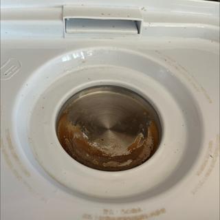 Submitted by Jayme D