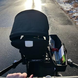 Submitted by Ashley G