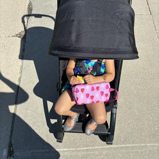 Submitted by Carol