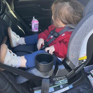 Submitted by TerrificT