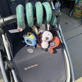 Submitted by Stroller Arch