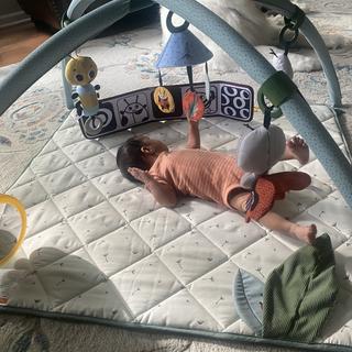 Submitted by Tracy