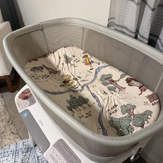 Submitted by Shay315