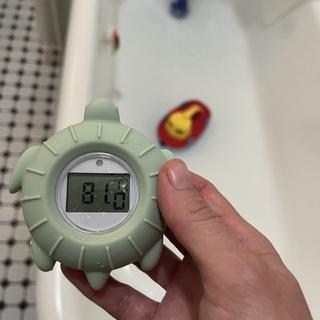 Submitted by Mal G