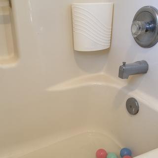 Submitted by Courtney T