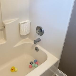 Submitted by Courtney T