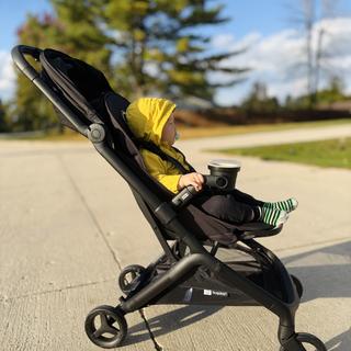 Submitted by Lauren O