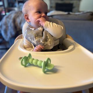 Submitted by Stephanie