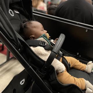 Submitted by SignedSunflower