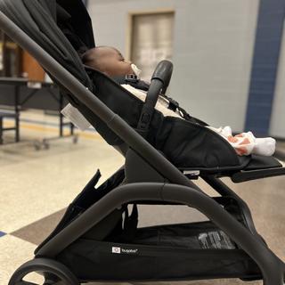 Submitted by SignedSunflower