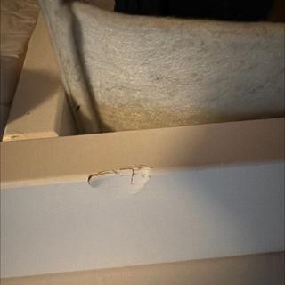 Submitted by Samantha b