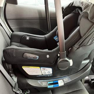 Submitted by Nicesurvey