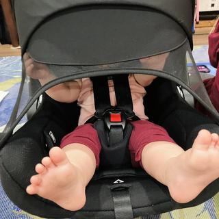 Submitted by Nicesurvey