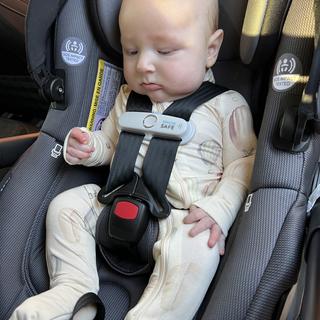 Submitted by Miranda