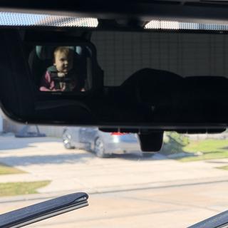 Submitted by Greyhoundbrain