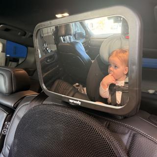 Submitted by Greyhoundbrain