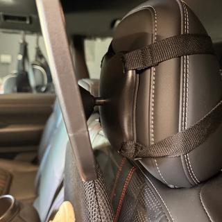 Submitted by Greyhoundbrain