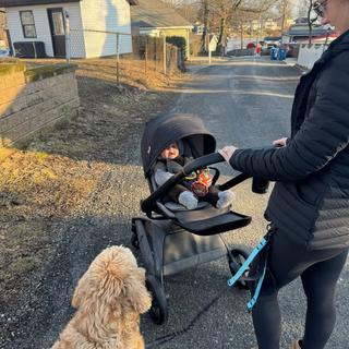 Submitted by Lenismom123