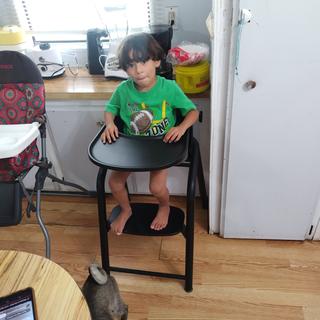 Submitted by Rachel7leo