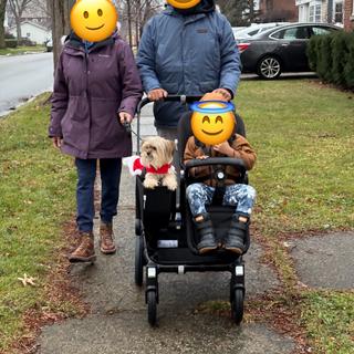 Submitted by Truth Speaker