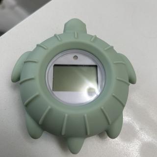 Submitted by Turtle thermometer