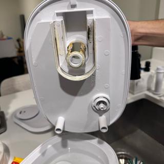 Submitted by Jennifer E