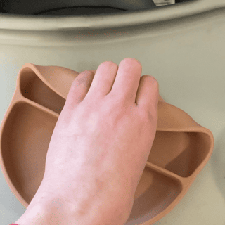 Submitted by Meganne