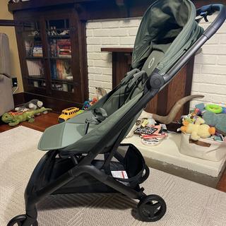 Submitted by LyonsMama7