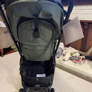 Submitted by LyonsMama7