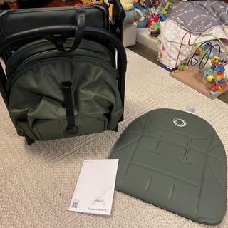 Submitted by LyonsMama7