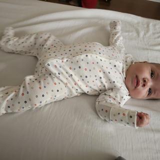 Submitted by Josbellys mirabal