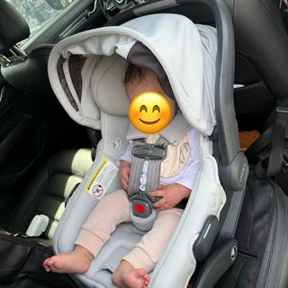 Submitted by Sarah_liese