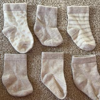 Submitted by Elizabeth