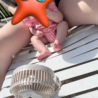 Submitted by ErinJ