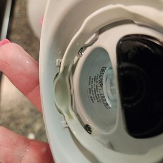 Submitted by Rachel B