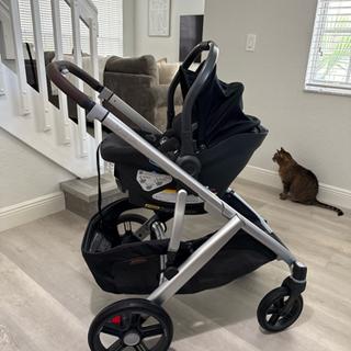 Submitted by Haley R