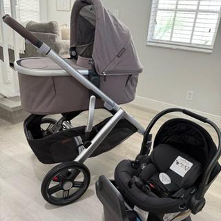 Submitted by Haley R