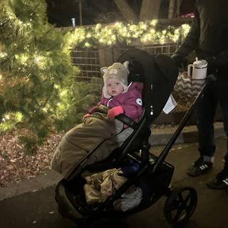 Submitted by Janefly