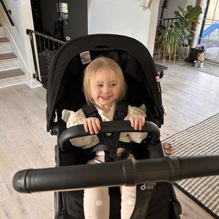 Submitted by Janefly