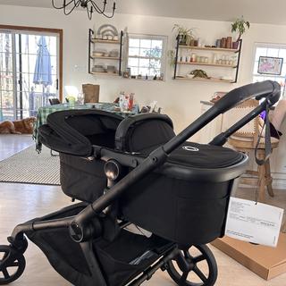 Submitted by Janefly