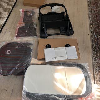 Submitted by Janefly