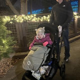 Submitted by Janefly