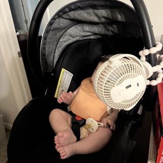 Submitted by MamaM