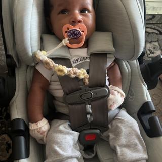 Submitted by JaquelineP21