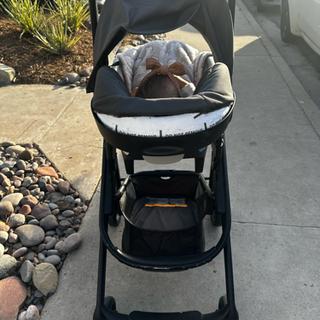 Submitted by Regina Z