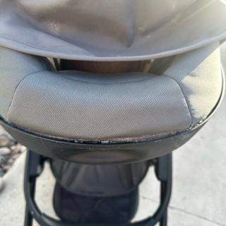 Submitted by Regina Z