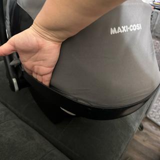 Submitted by Regina Z